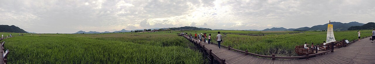 Panorama of Reed fields in Suncheon bay.jpg